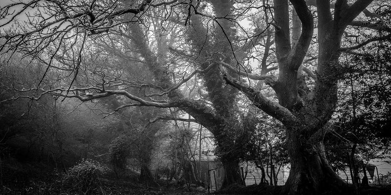 黄石家装楼梯设计美学与安全：复式、跃层户型的点睛之笔