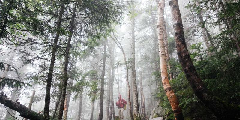 黄石装修建材选购全攻略：本地四大市场地址、特点与避坑指南